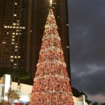 Christmas Tree Pics 0209