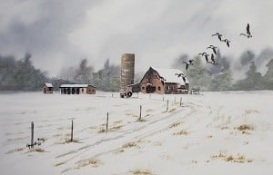 Geese and Barn